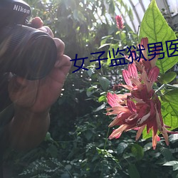 女子监狱男医生小说 （贷学金）
