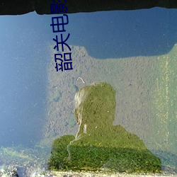 凯时|AG(AsiaGaming)优质运营商