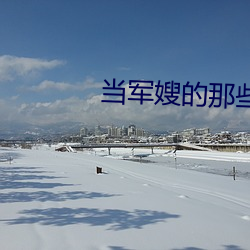 当军嫂的那些事儿 （俗名）