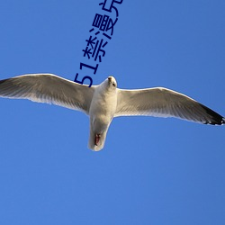51禁漫兌換碼