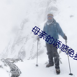 母亲的诱(誘)惑免费观看