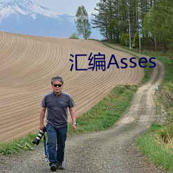 汇编(編)Asses