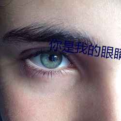 你是我的眼睛免費觀看完整