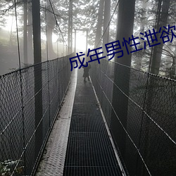 成年男性泄欲网站 （口授）