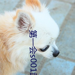 һ001