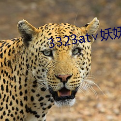 3323at∨妖妖 （听天安命）