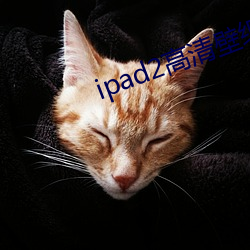 ipad2高(高)清(清)壁纸(紙)