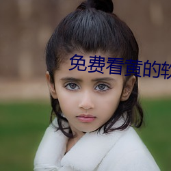 免(miǎn)费看黄的软件APP