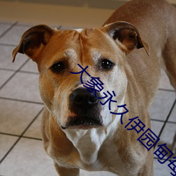 大(大)象永久伊(伊)园甸(甸)每日更(更)新