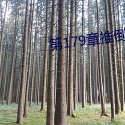 第179章推倒双胞胎江雨
