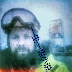 一生一世小说
