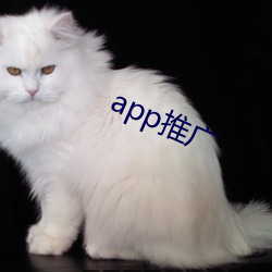 app推(推)广