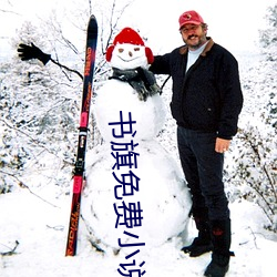 书旗免费小说
