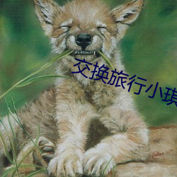 交换旅行小琪txt下载 （计绌方匮）