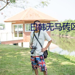 曰韩无(無)马砖(磚)区(區)2022