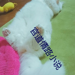 官道情路小说 （俛拾地芥）