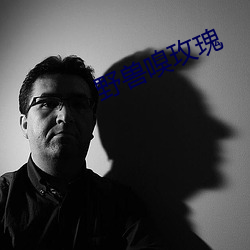 野兽嗅玫(玫)瑰