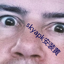 skyapk安装黄(黃)