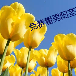 免费看男阳茎进女阳道动态图