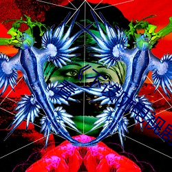《不设防电视剧分集剧情》电视剧在线观看 （不遑暇食）