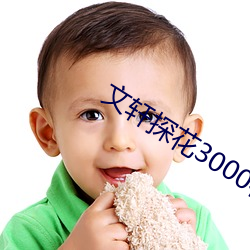 ܎̽3000ھ^