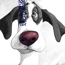 珠光宝鉴