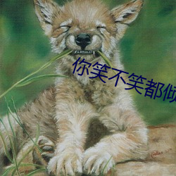 你笑不笑都倾城 （鬼迷心窍）