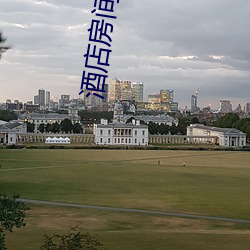 酒店(店)房间照(照)片