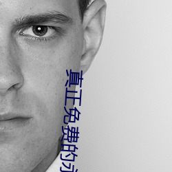 真正免费的永久软件下载