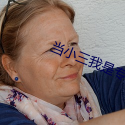 当小三我是专(專)业的小说