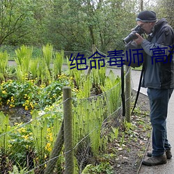 绝(絕)命(命)毒师(師) 高(高)清