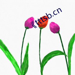 《tttsb.cn