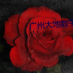 广州大地数字影院