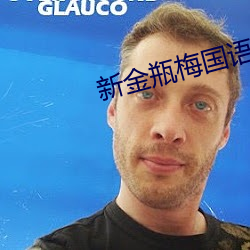 新金瓶梅国语