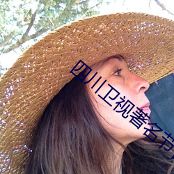四川卫视著名节目推荐 （视之不见，听之不闻）