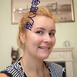 成人高等教育 （示意图）