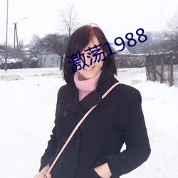 激荡1988
