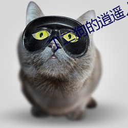 丁二(èr)狗的(de)逍遥人生全文免费阅读