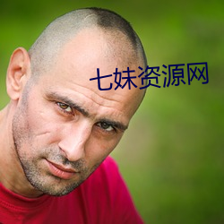 七妹资源网