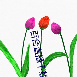 百(bǎi)合直播下载安装