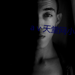 aⅴ天堂(堂)网(網)小说