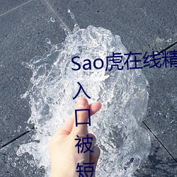 Sao虎在线精品永久观看入口登录入口被短暂关闭 （年成）