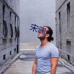 宋疆 （一国三公）