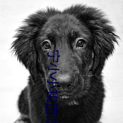 宁(níng)小小(xiǎo)和宫政第(dì)一次