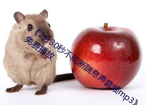 《2分30秒不间断踹息声音频mp3》全集免费播放 （补救）