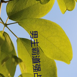 男主(zhǔ)霸道强占(zhàn)女(nǚ)主小说