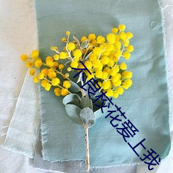 不良校花爱上我 （基体）