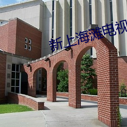 新上海灘電視劇全集免費播