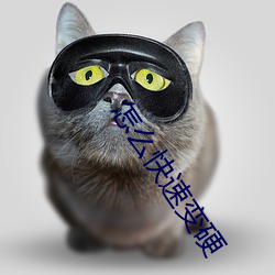 怎麽快速變硬