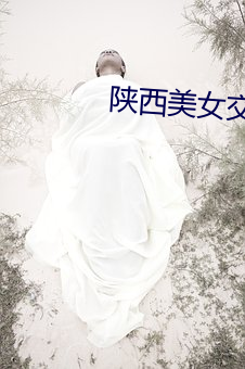 陕西美女交(jiāo)警